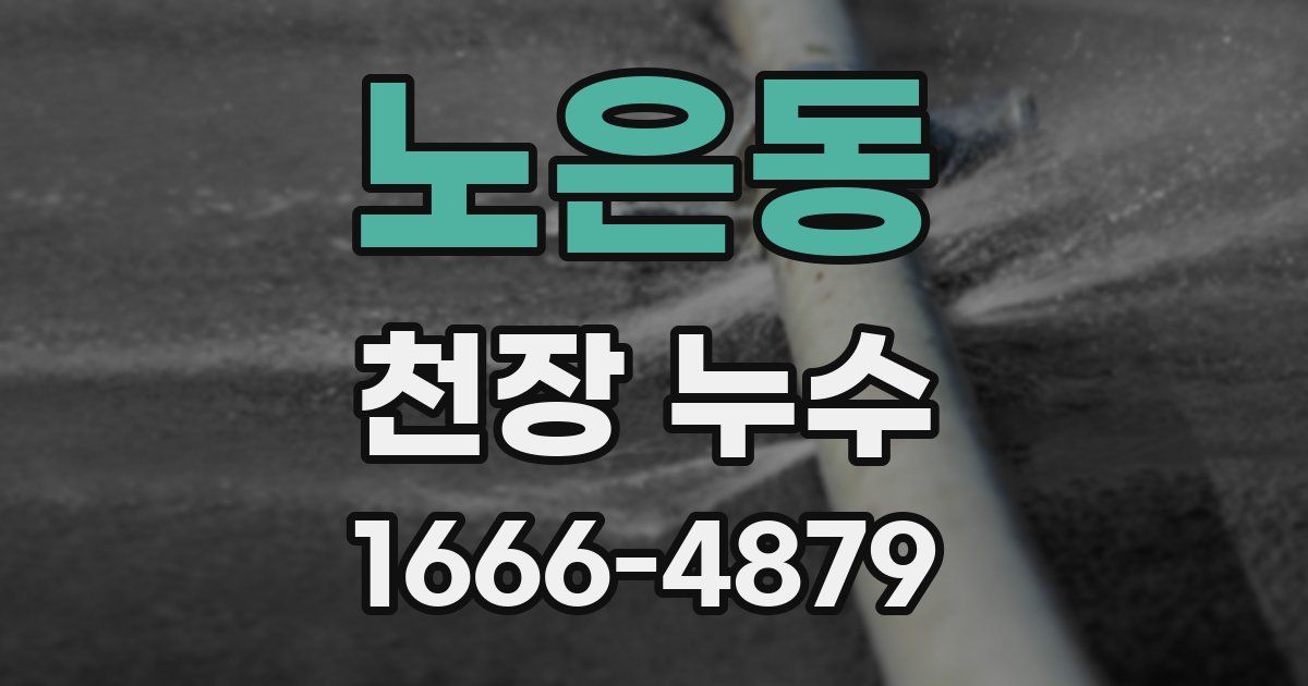 노은동 천장 누수
