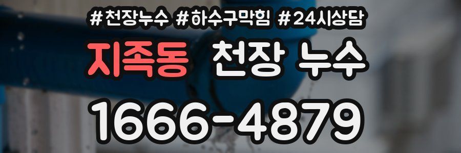 지족동 천장 누수