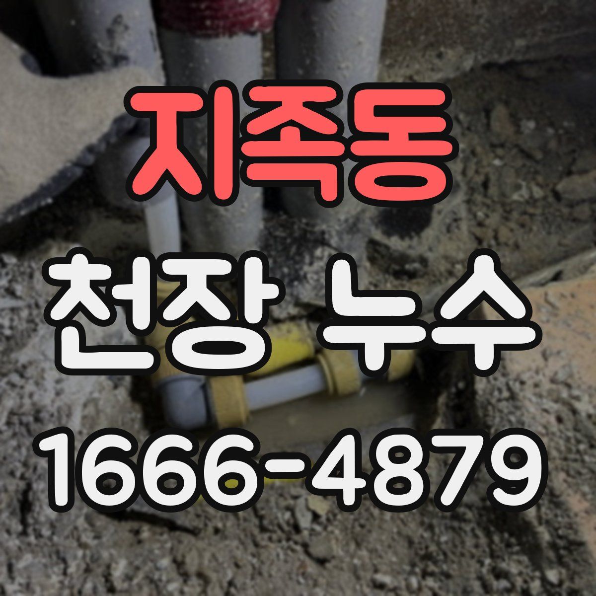 지족동 천장 누수