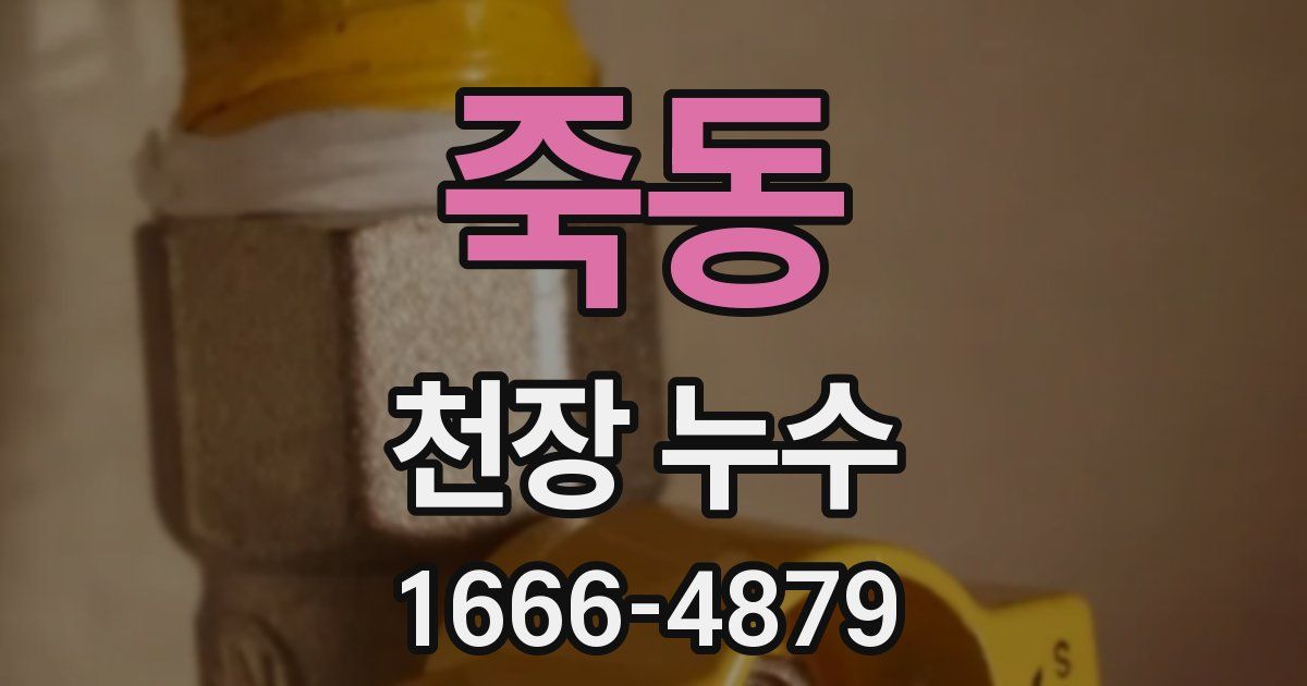 죽동 천장 누수