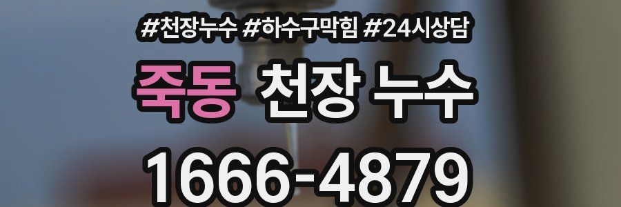 죽동 천장 누수