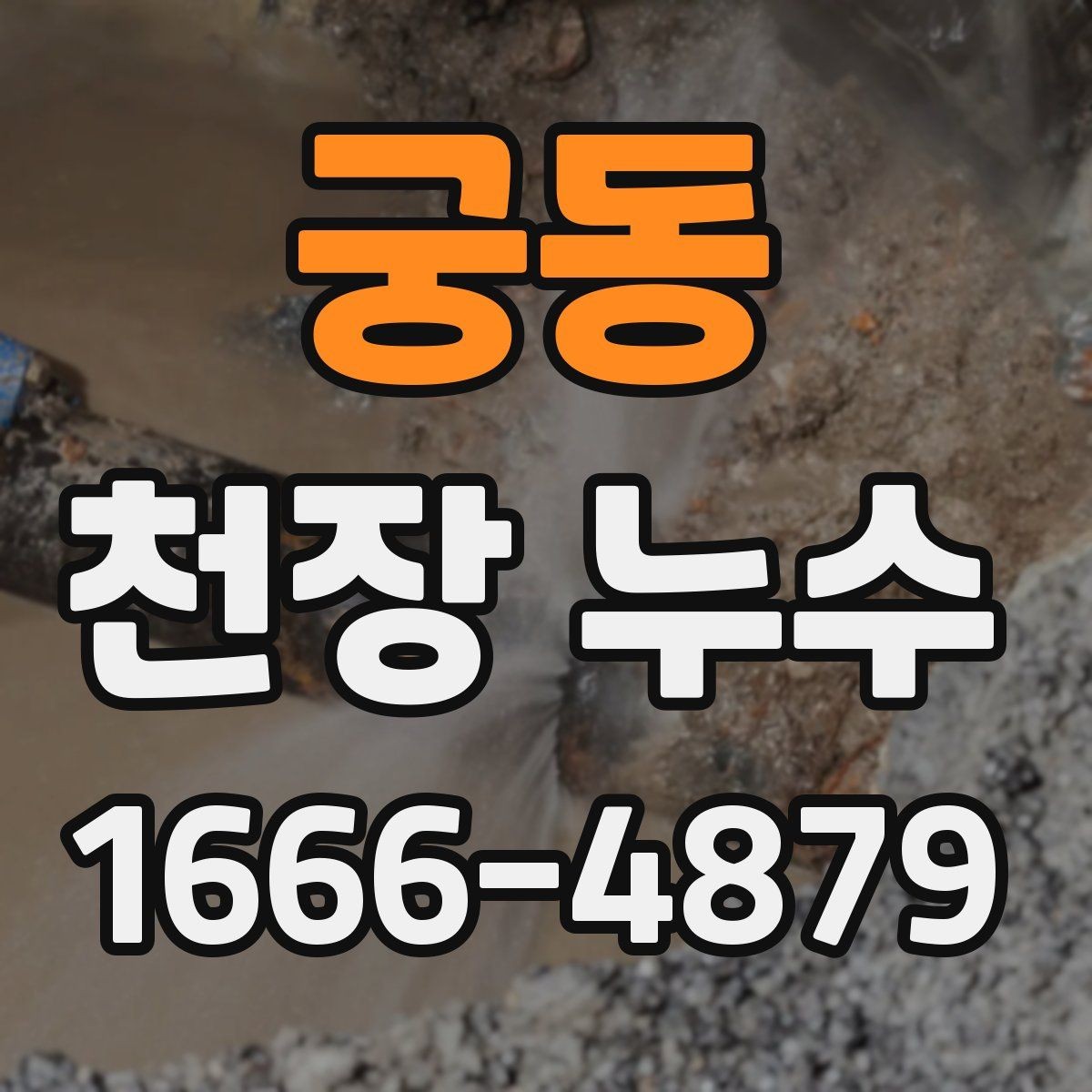 궁동 천장 누수 천장 위에서 뚝뚝 소리가 날 때 확인할 것