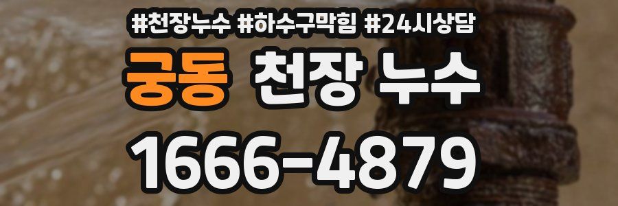 궁동 천장 누수