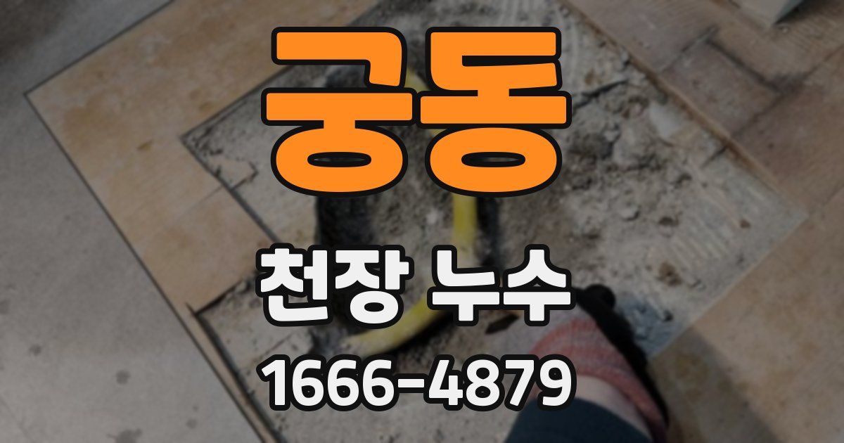 궁동 천장 누수