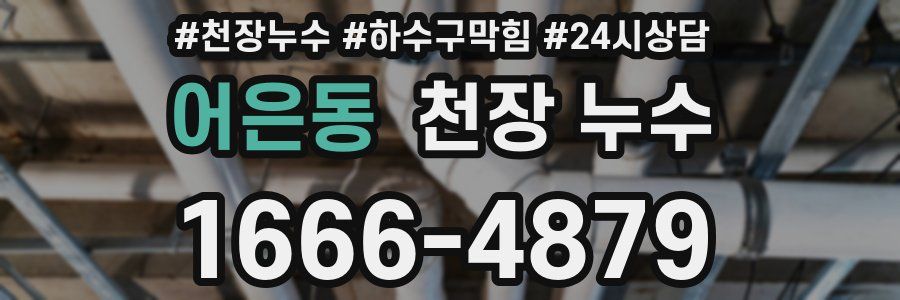 어은동 천장 누수