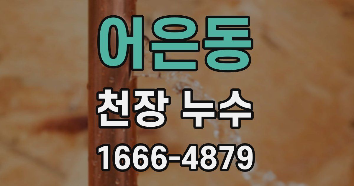 어은동 천장 누수
