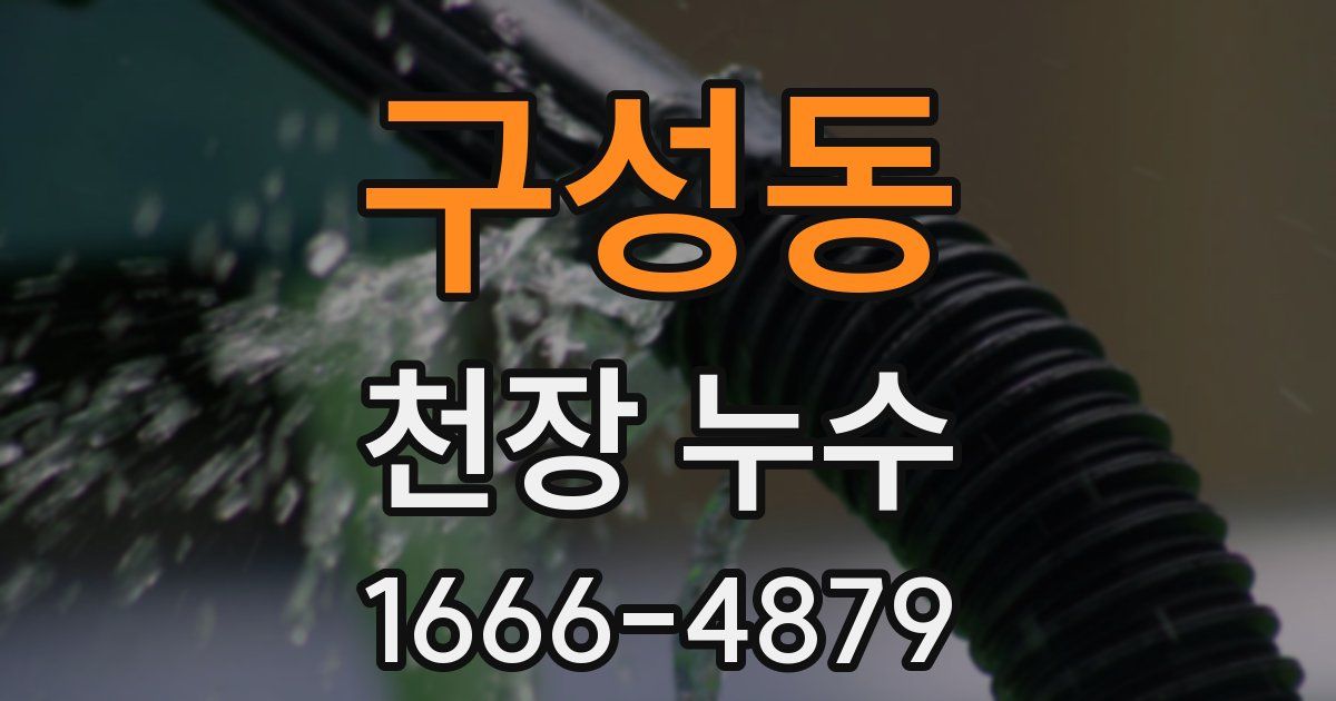 구성동 천장 누수