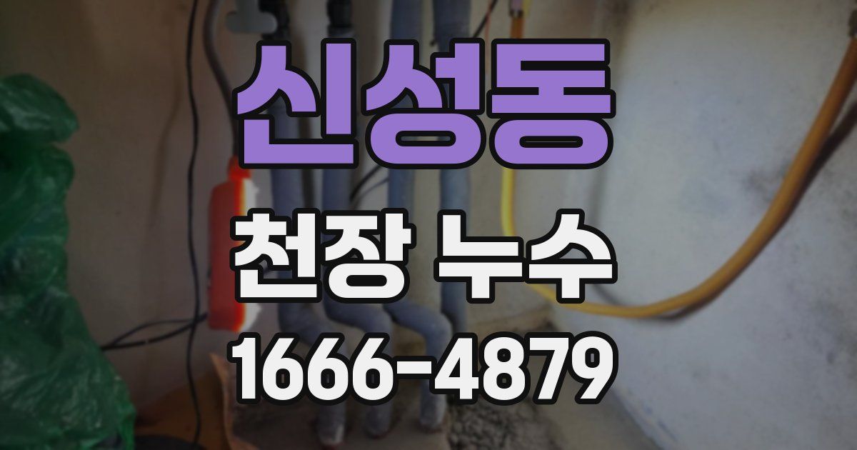 신성동 천장 누수