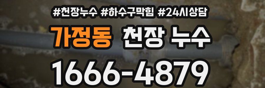 가정동 천장 누수