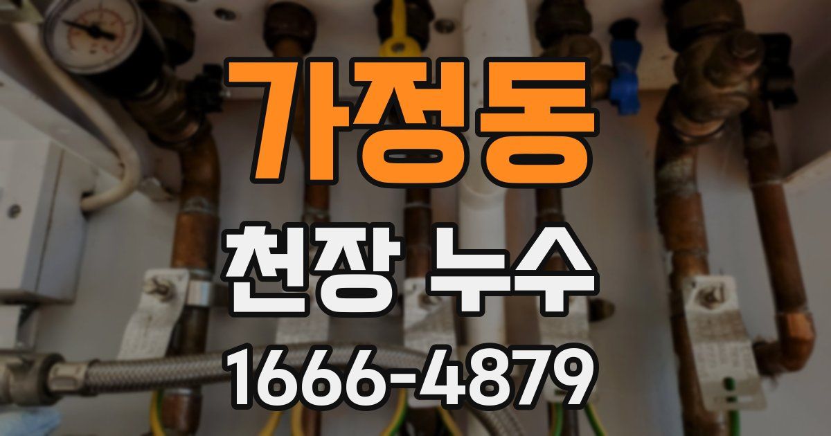 가정동 천장 누수