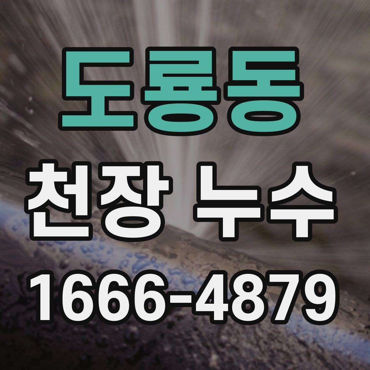 도룡동 천장 누수 분쟁이 커지기 전 대응하기