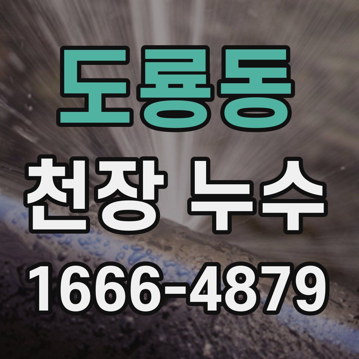 도룡동 천장 누수