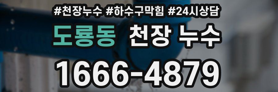 도룡동 천장 누수