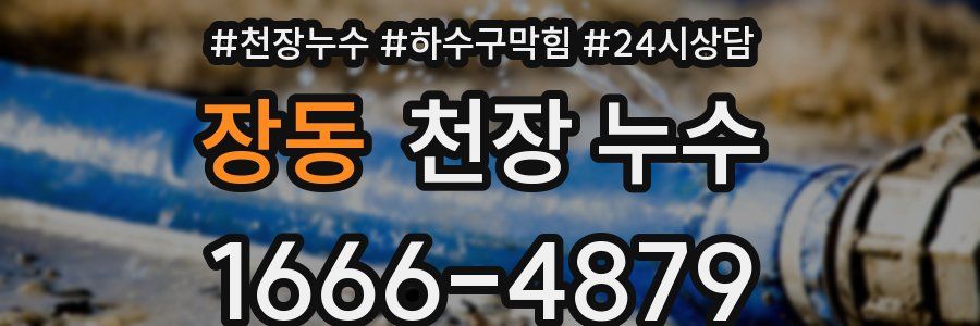 장동 천장 누수