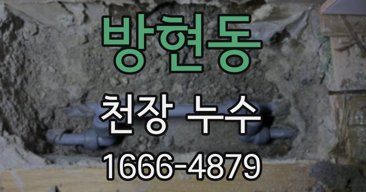 방현동 천장 누수