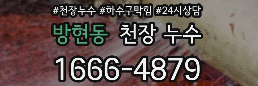 방현동 천장 누수