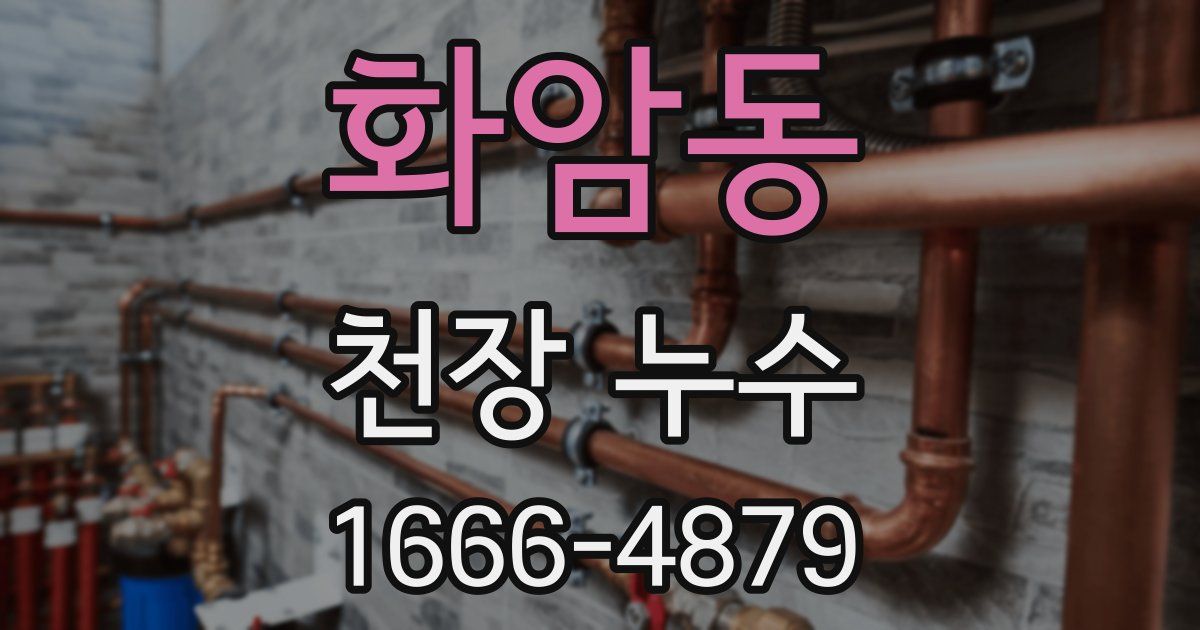 화암동 천장 누수