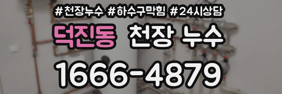 덕진동 천장 누수