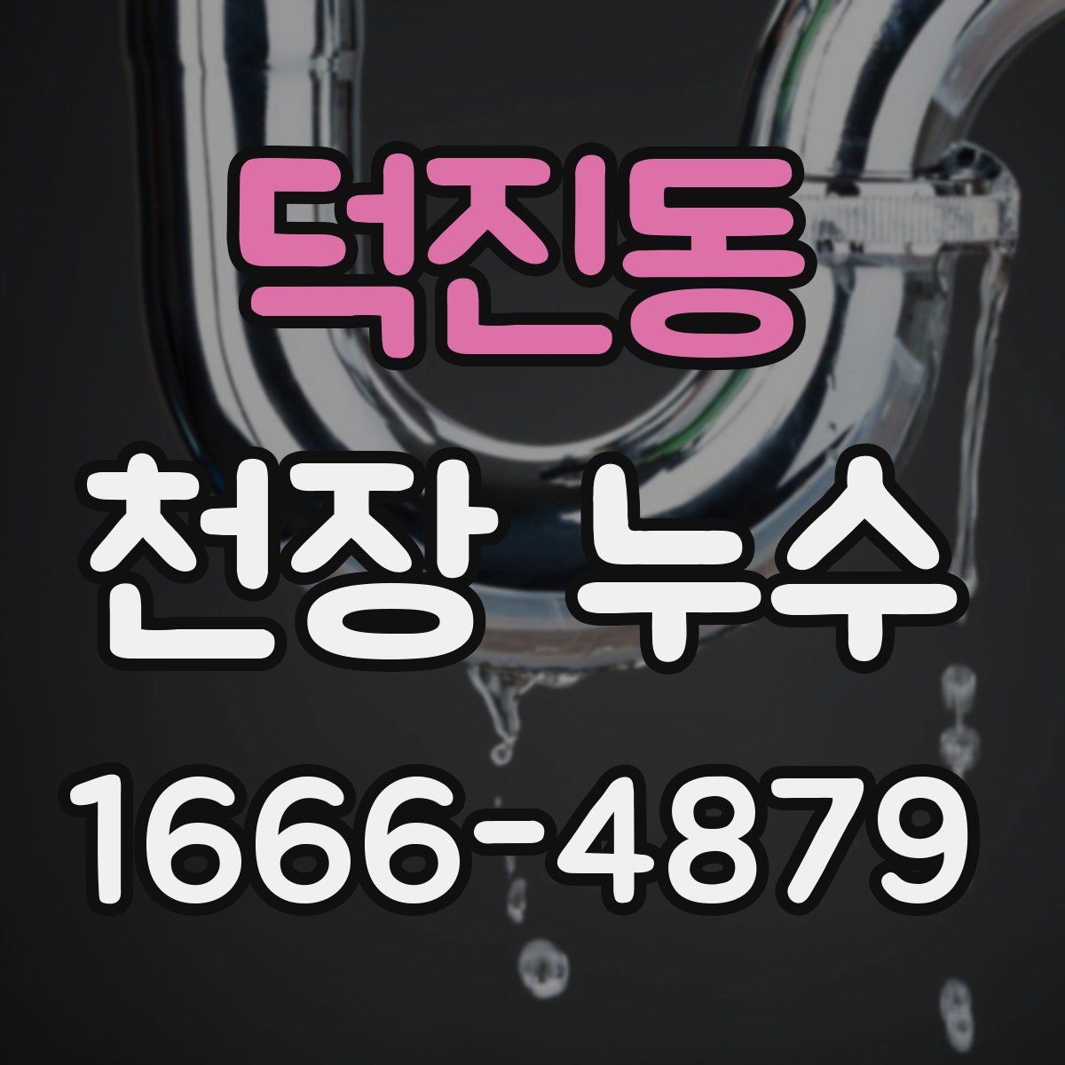 덕진동 천장 누수