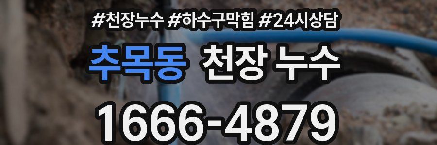 추목동 천장 누수