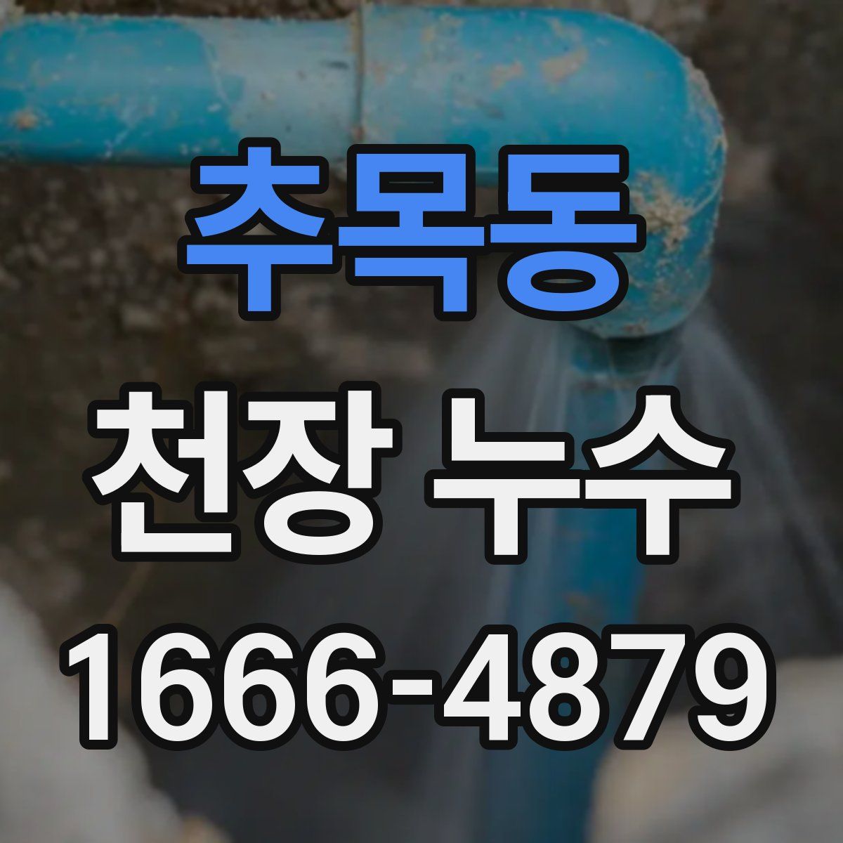 추목동 천장 누수