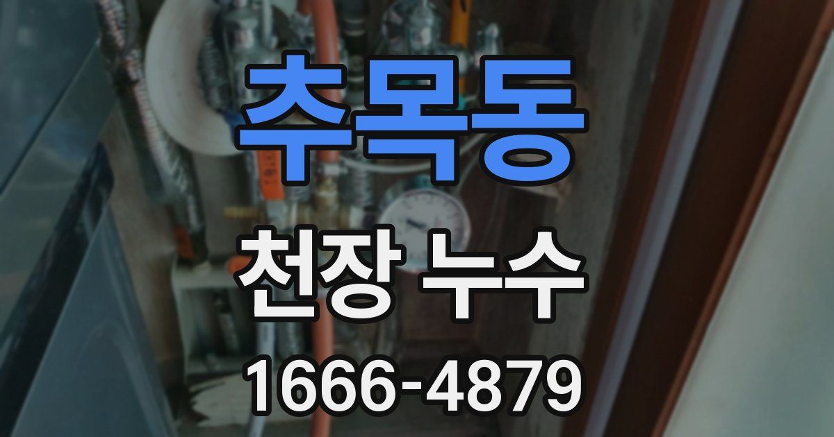 추목동 천장 누수