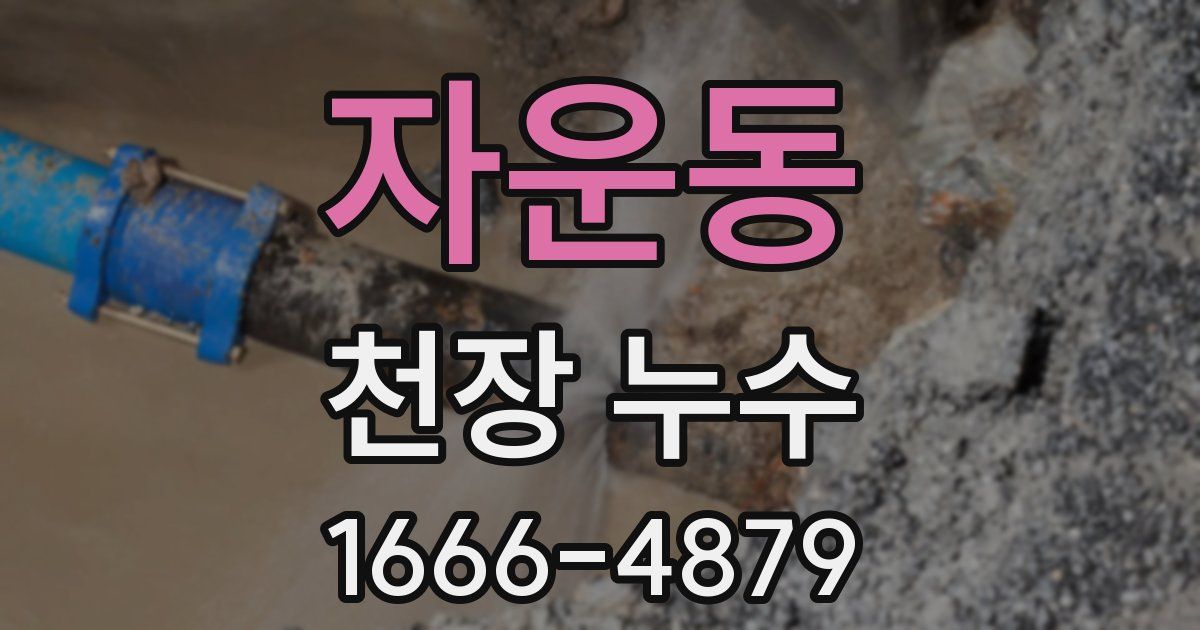 자운동 천장 누수