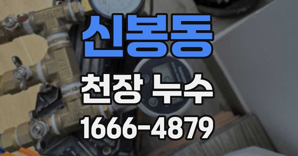 신봉동 천장 누수