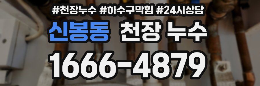 신봉동 천장 누수