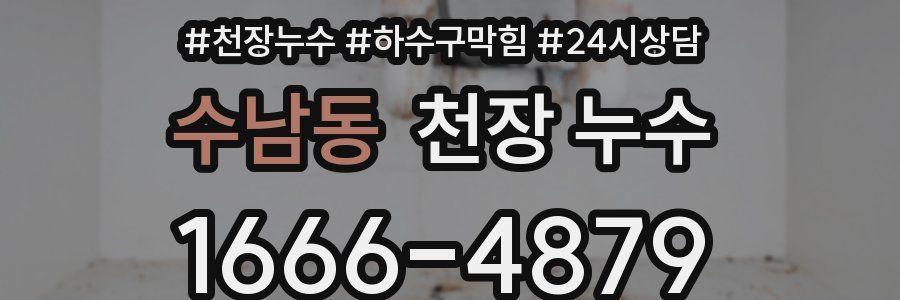 수남동 천장 누수