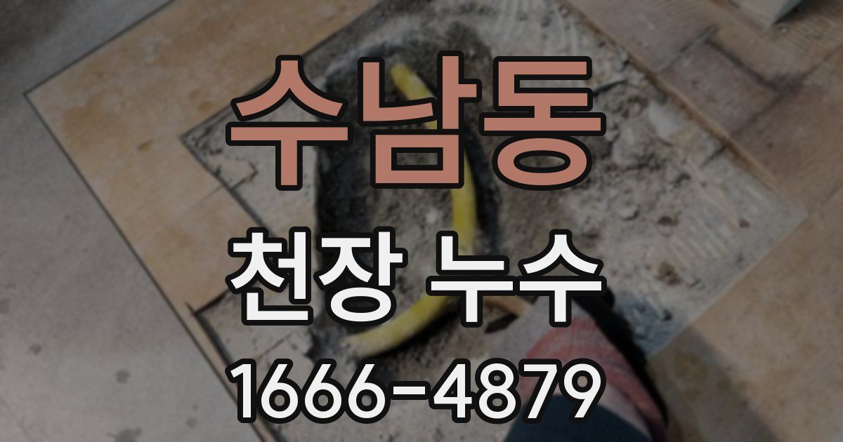 수남동 천장 누수