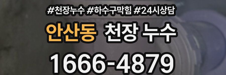 안산동 천장 누수