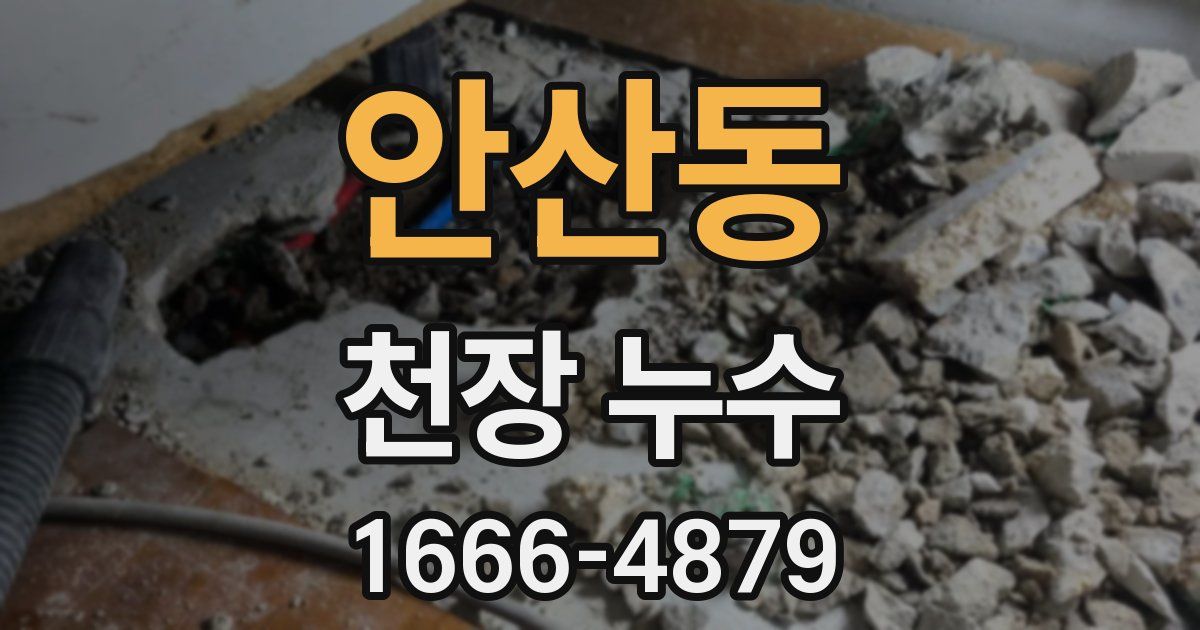 안산동 천장 누수