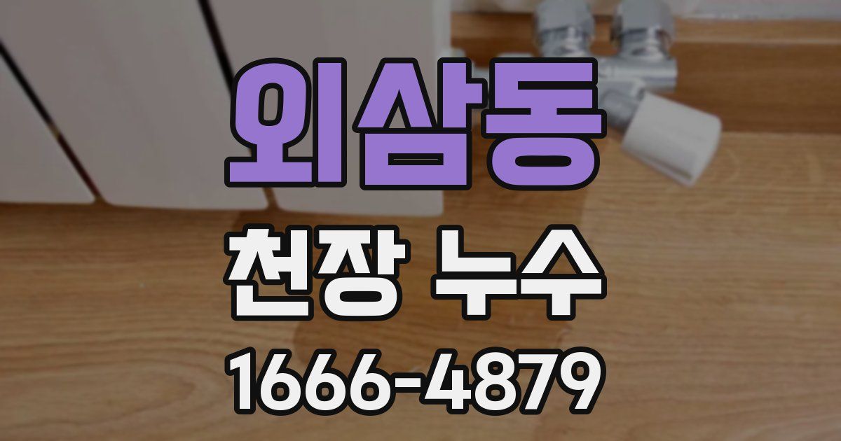 외삼동 천장 누수