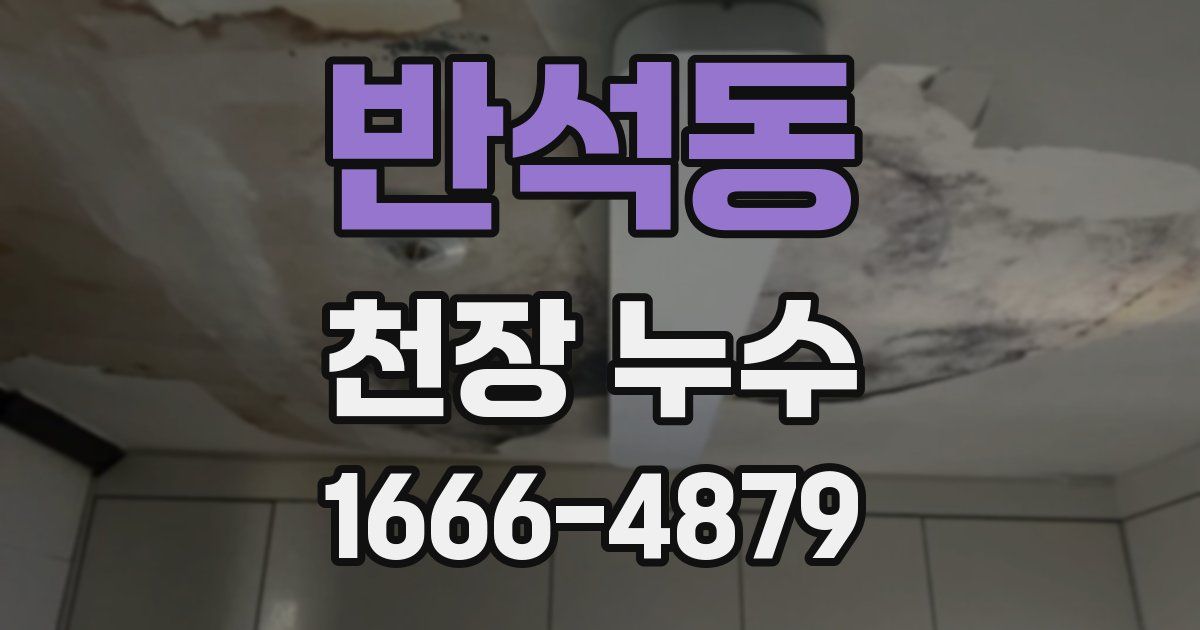 반석동 천장 누수