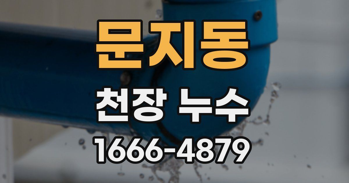 문지동 천장 누수