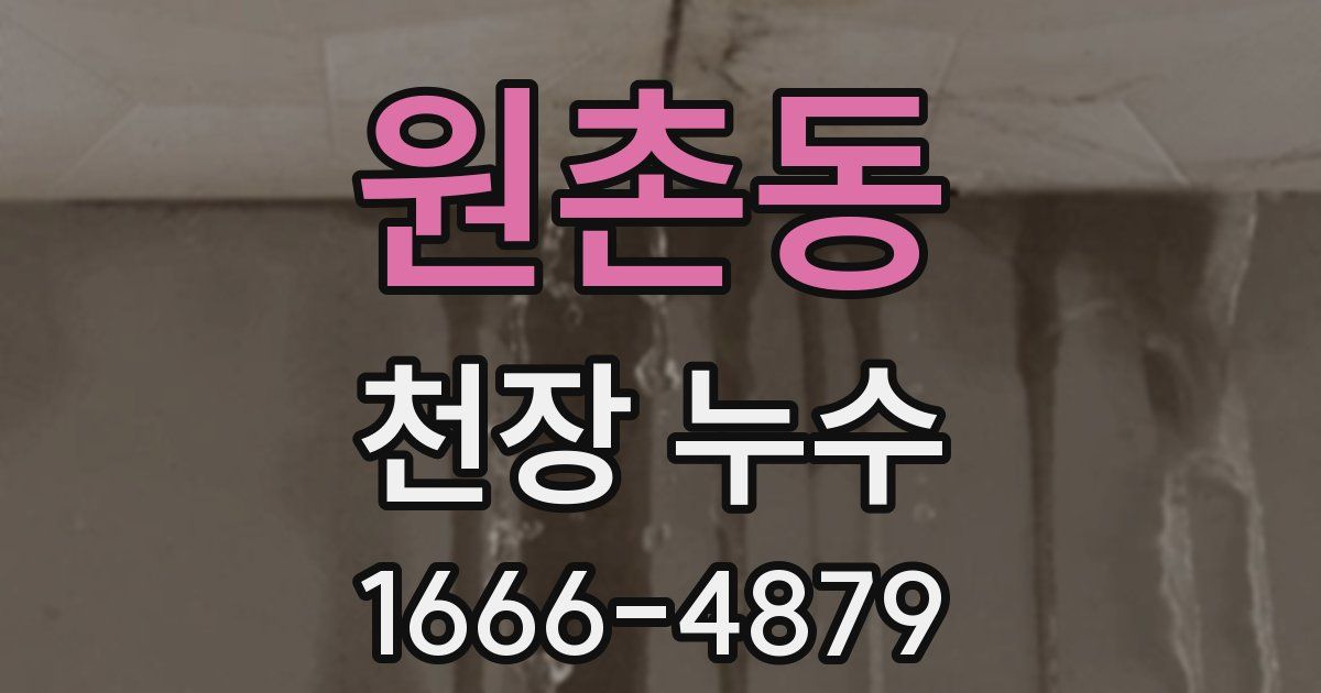 원촌동 천장 누수
