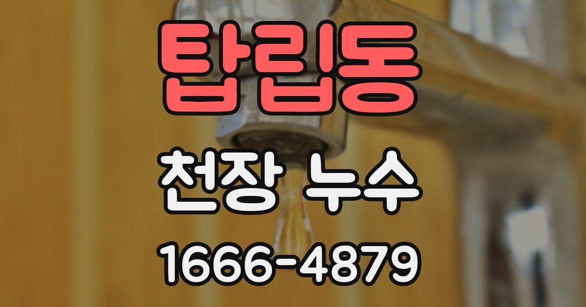 탑립동 천장 누수