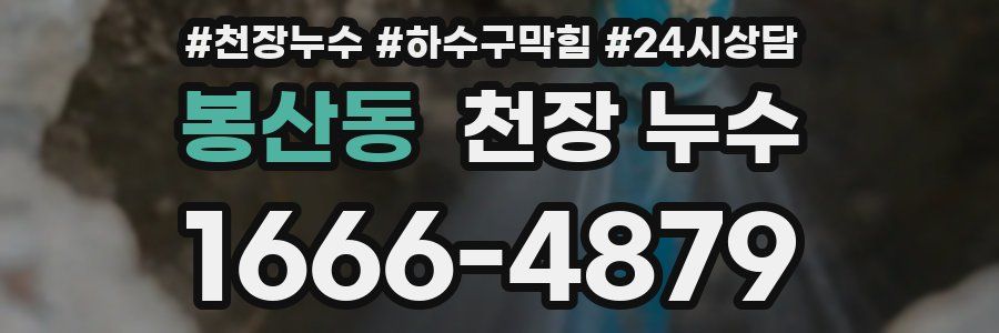 봉산동 천장 누수