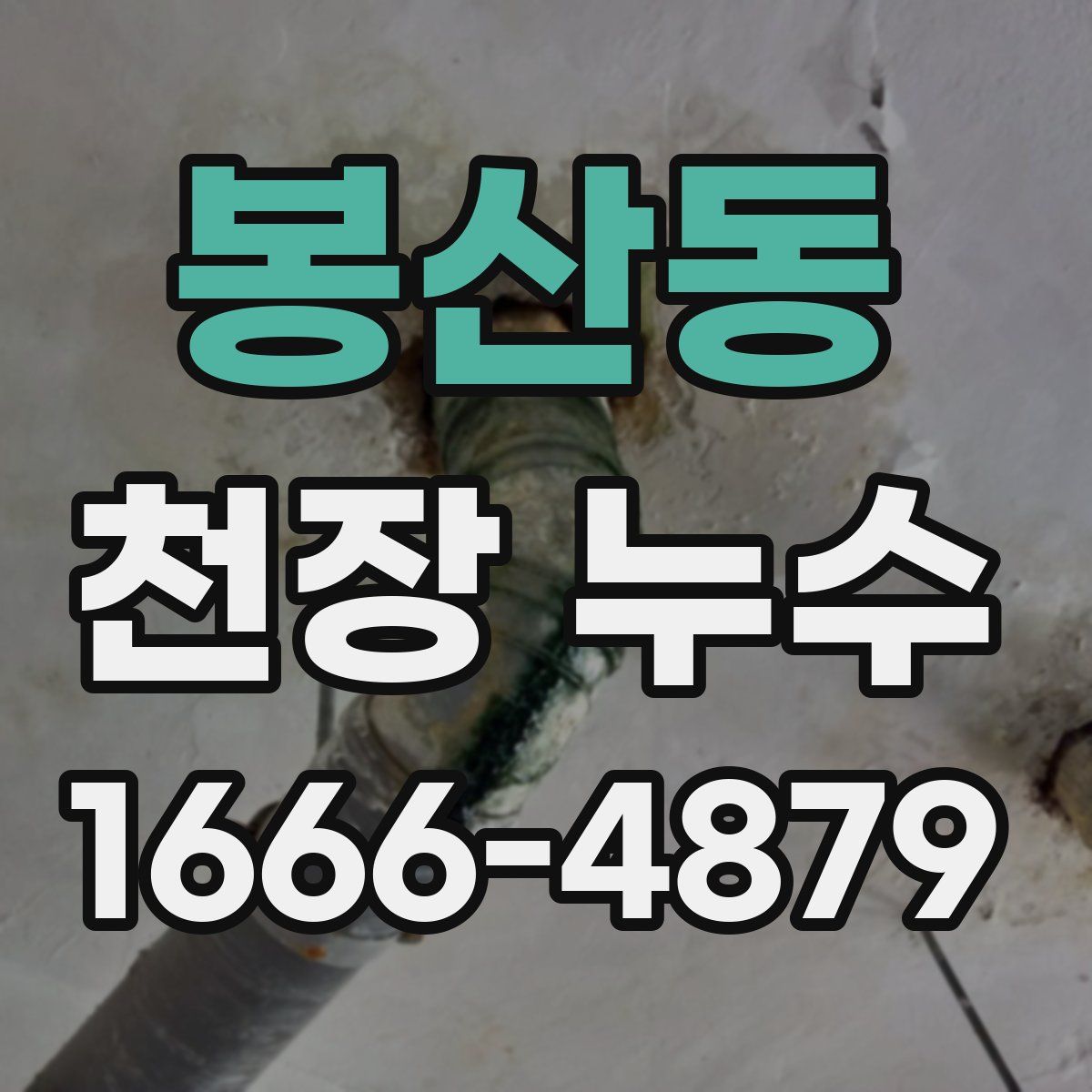 봉산동 천장 누수