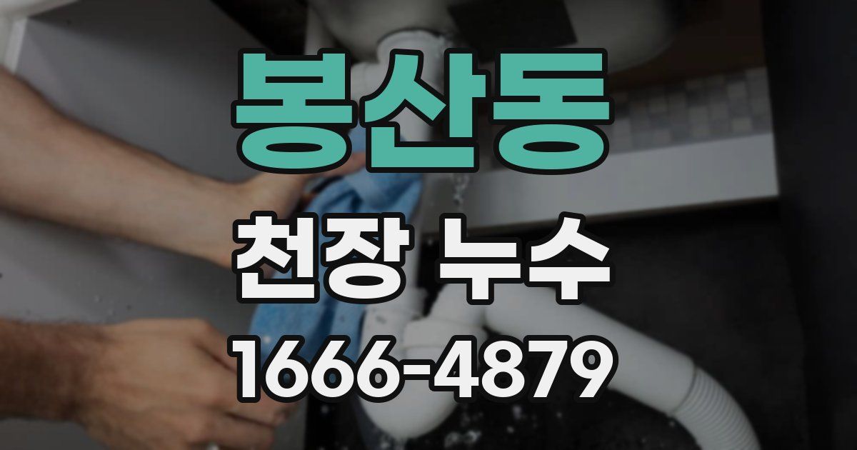 봉산동 천장 누수