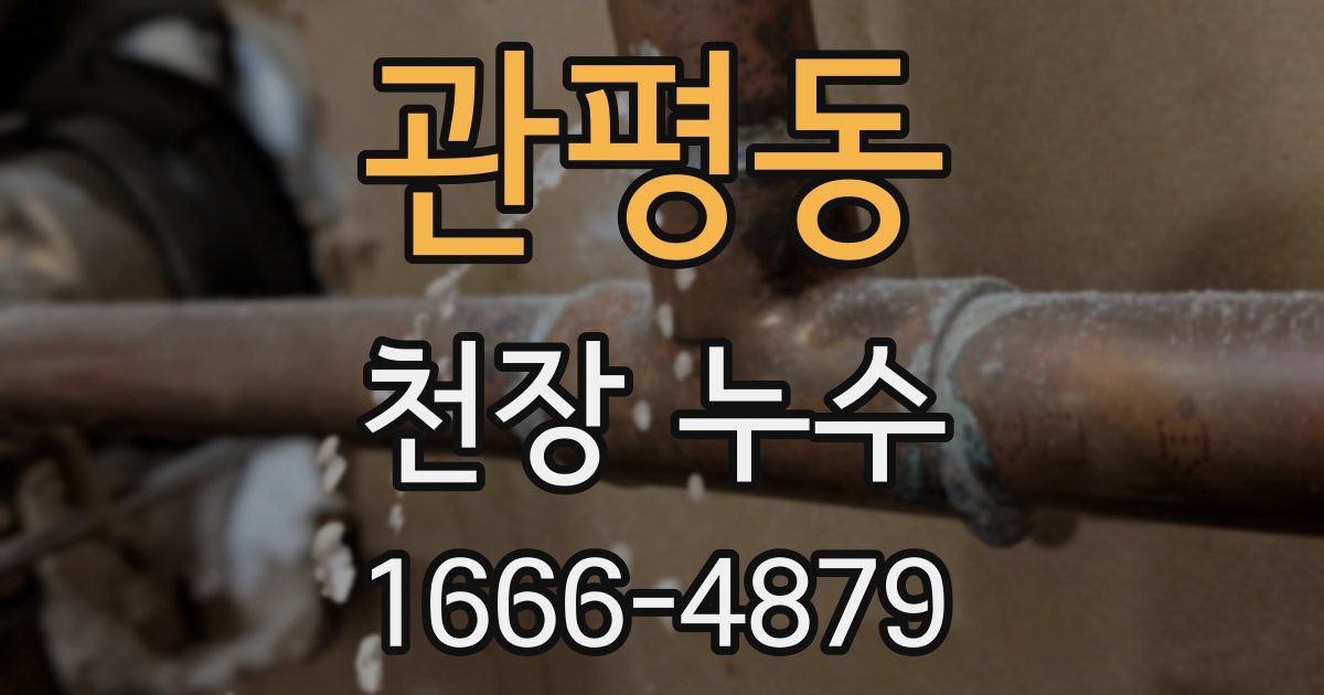 관평동 천장 누수