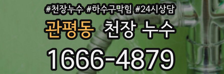 관평동 천장 누수