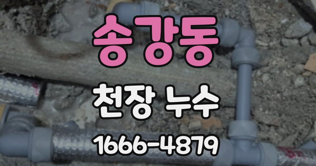 송강동 천장 누수