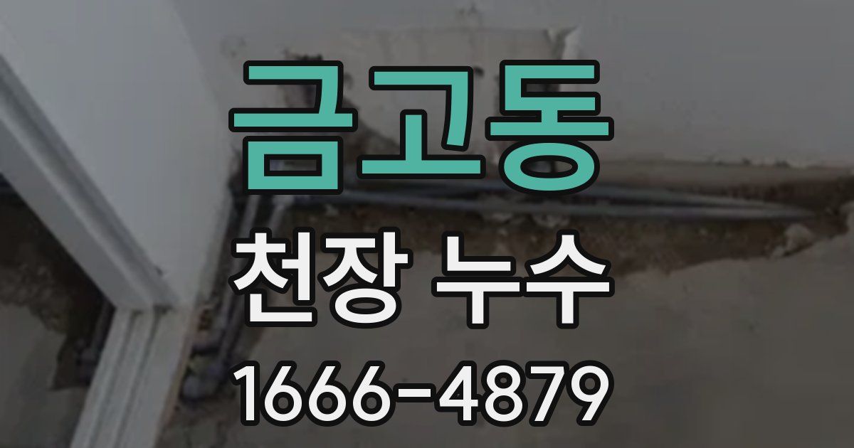 금고동 천장 누수