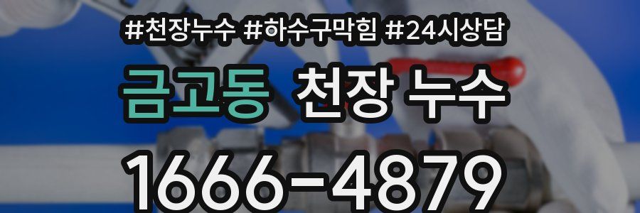 금고동 천장 누수