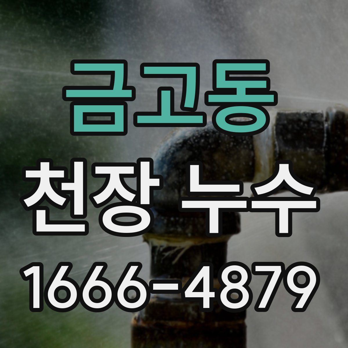 금고동 천장 누수