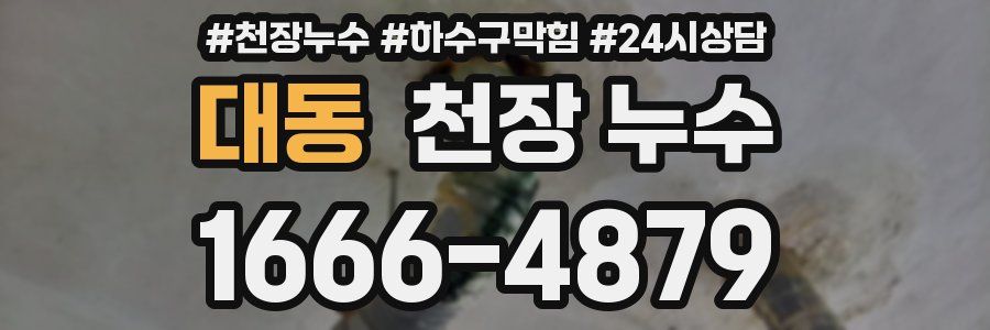 대동 천장 누수
