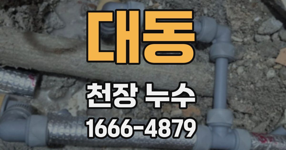 대동 천장 누수