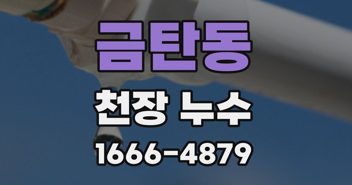 금탄동 천장 누수